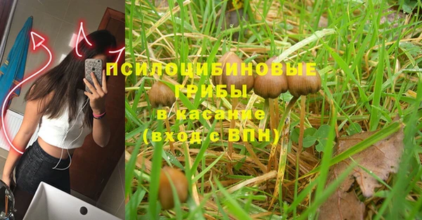 кокс Абдулино