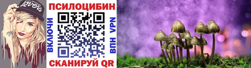 где купить наркотик  Щёкино  Галлюциногенные грибы MAGIC MUSHROOMS 